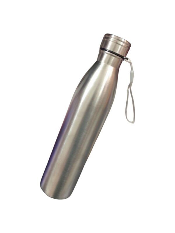 Stainless Steel Water Bottle with Carry Strap, Vacuum Insulated, Silver